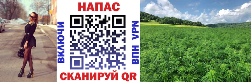 Конопля AK-47  Балашиха 